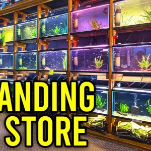 What is New with Aquarium Co-Op? ﻿Behind the Scenes Vlog