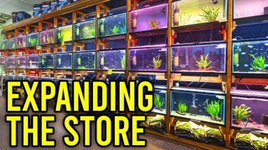 What is New with Aquarium Co-Op? ﻿Behind the Scenes Vlog
