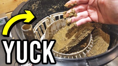 What It’s Like Maintaining An 800 Gallon Aquarium