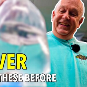 Brand New Fish Arrives! Master Breeder Unboxes His Rare Collection