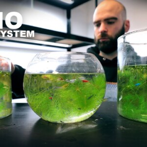 I Made A New System For Shrimp & Nano Fish - RARE Ecosystem Build Starts