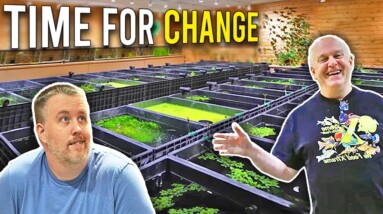 Planning Big Changes for the Fish Room; One Tank at a Time