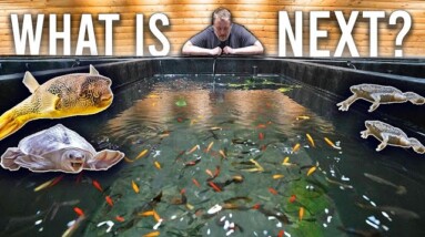 Life & Channel Changes - Getting Back to Basics﻿