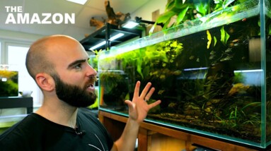 The END of the AMAZON!! (with crazy surprise)