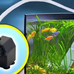5 Aquarium Tips & Tricks to Save You Time