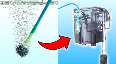 5 Simple Tricks to Improve Your Aquarium Filter