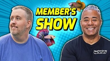 Aquarium Co-Op Live Show #18