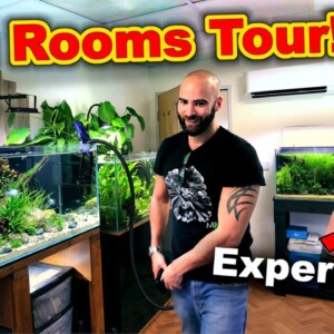 HUGE Fish Rooms TOUR with Fish EXPERT REVIEW!! (30+ AQUARIUMS)