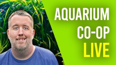 Sunday School is back!. Listen to this while you do Aquarium Maintenance. Sundays 12pm PST/3PM EST