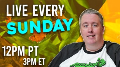 Sunday Aquarium Chat. Sundays 12pm PST/3PM EST