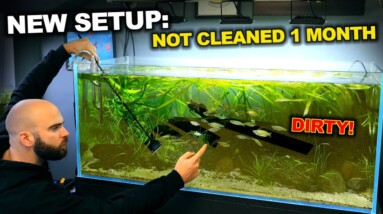 I Didn't Clean This Fish Tank For A Month From Creation!!