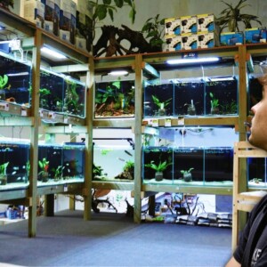 Incredible Hand Built Aquarium Store | Full Tour