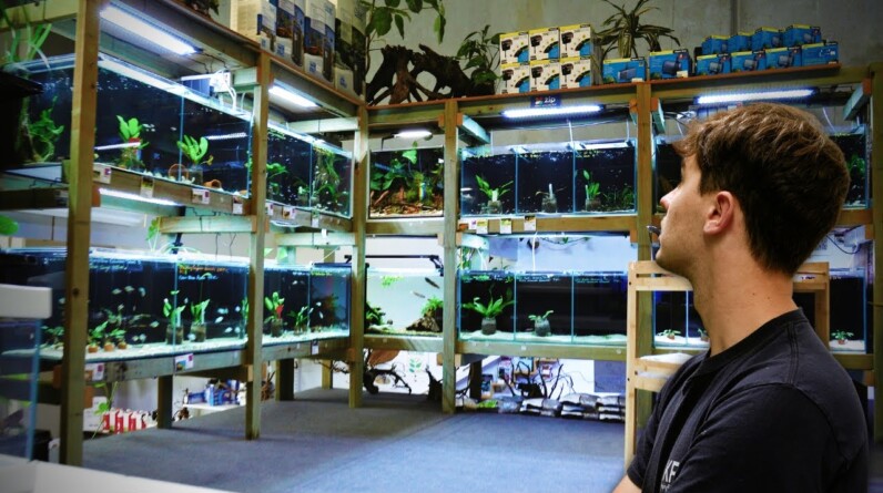 Incredible Hand Built Aquarium Store | Full Tour